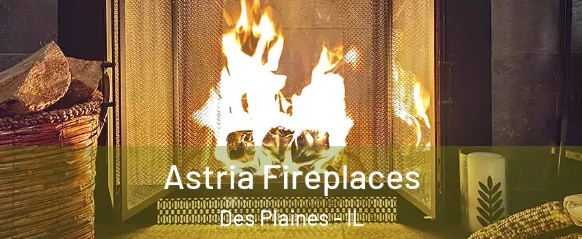  Astria Fireplaces Des Plaines - IL