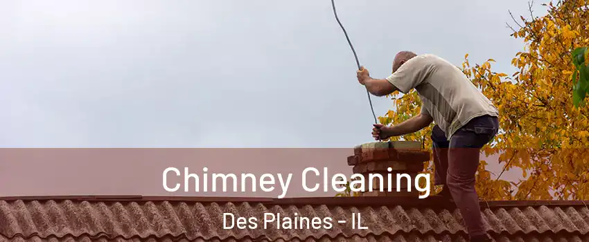  Chimney Cleaning Des Plaines - IL