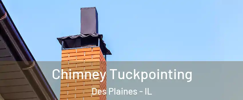  Chimney Tuckpointing Des Plaines - IL