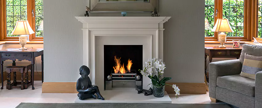 Astria Open-Hearth Wood Fireplaces Services in Des Plaines, IL
