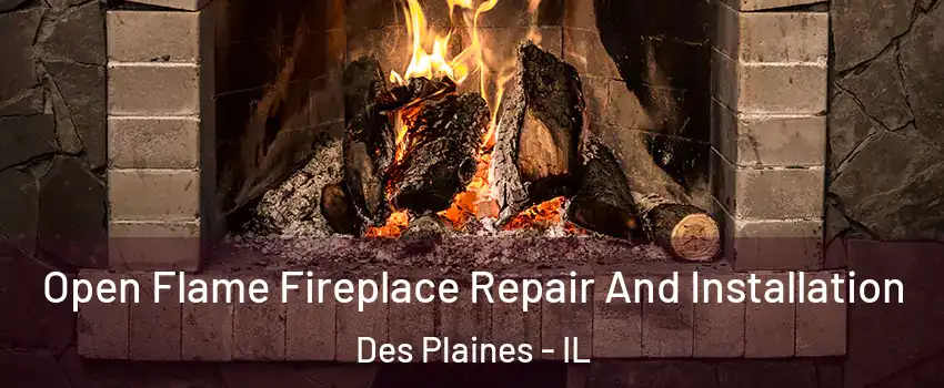  Open Flame Fireplace Repair And Installation Des Plaines - IL